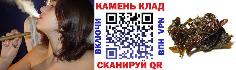 где можно купить наркотик  Баксан  Гашиш Premium 